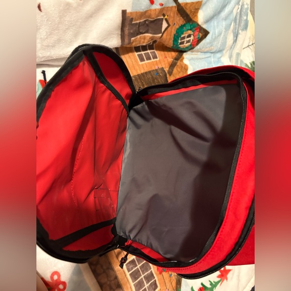 ElementxPeanuts Red Backpack - Picture 5 of 14